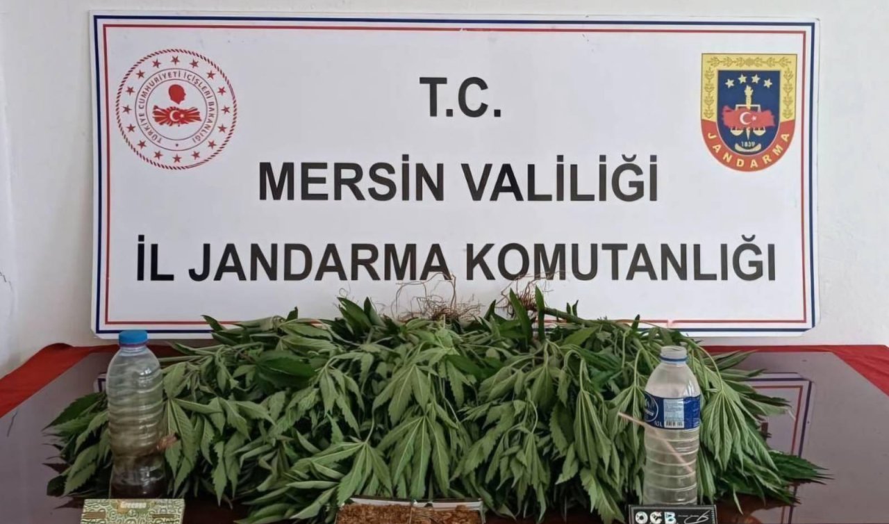 Uyuşturucu operasyonunda 6 şüpheli yakalandı