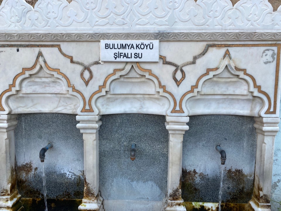 bulumya