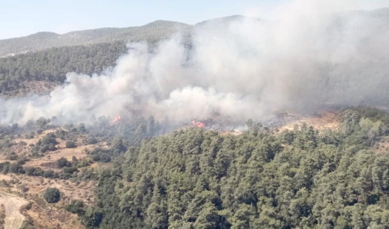 Muğla’da orman yangını