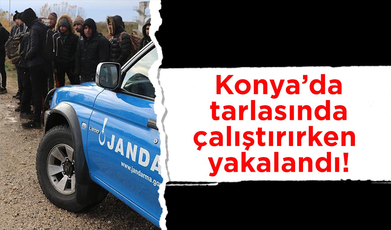 Konya’da tarlasında çalıştırırken yakalandı!