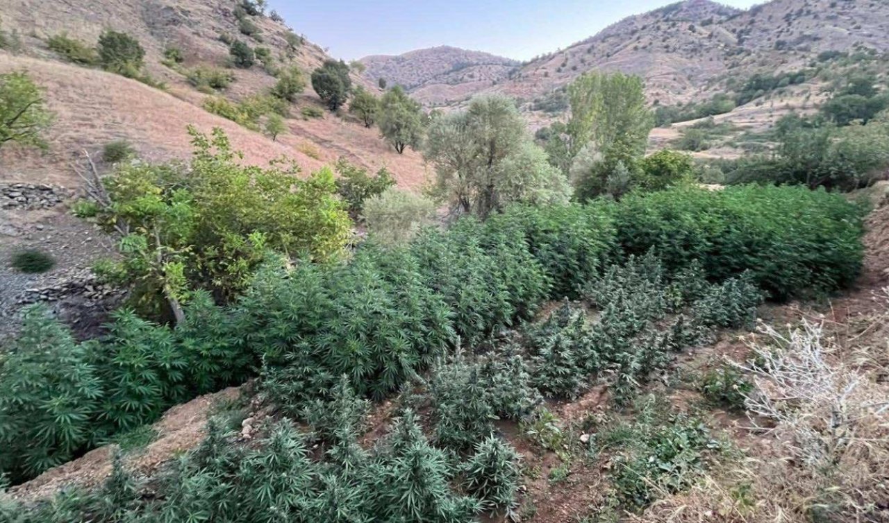 Narko - Terör uyuşturucu operasyonu gerçekleştirildi