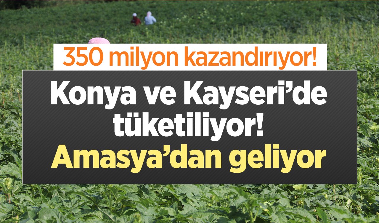 Konya ve Kayseri’de tüketiliyor! Amasya’dan geliyor: 350 milyon kazandırıyor! 