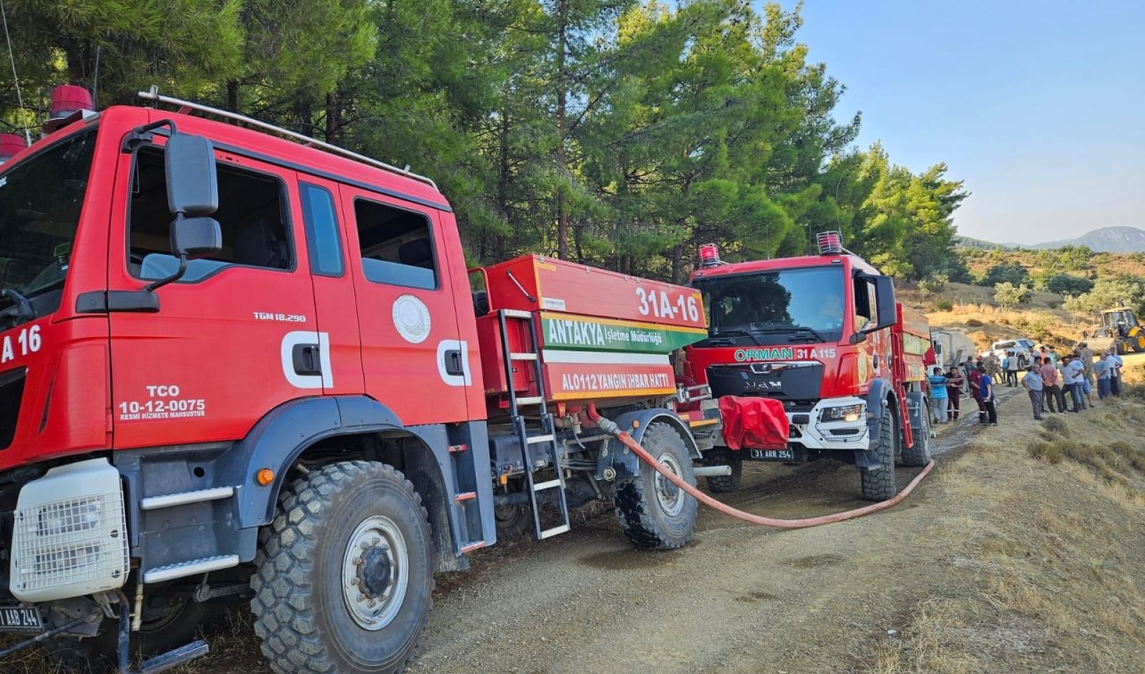 Hatay’da orman yangını; 1,5 saatte kontrol altına alındı