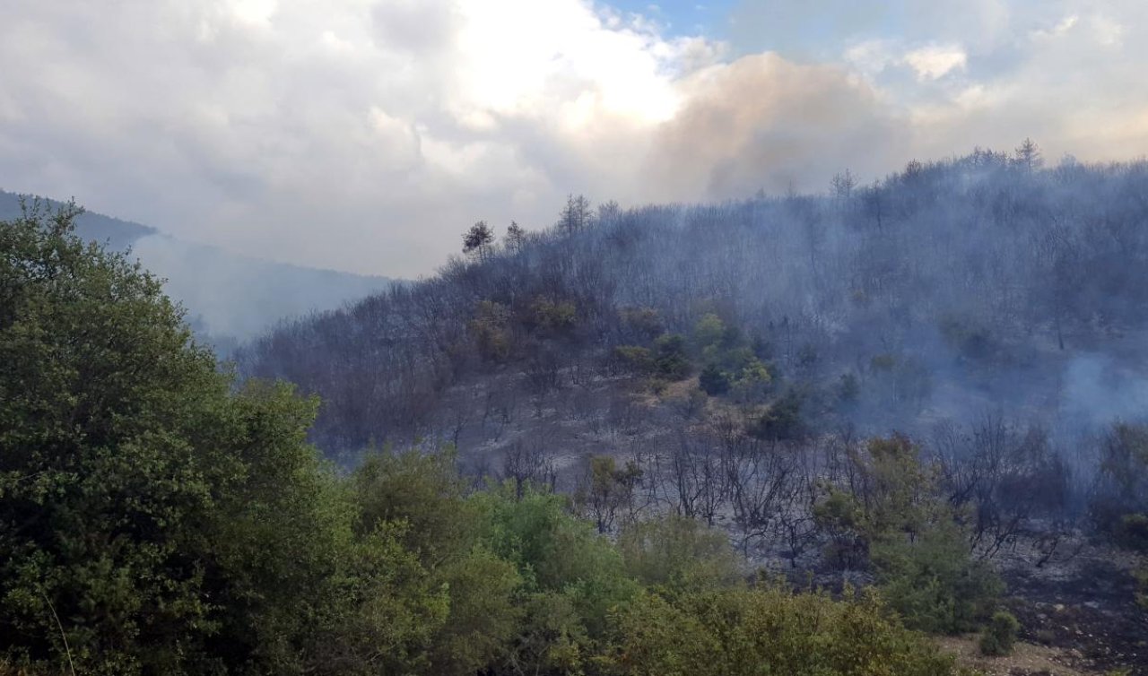  Tokat’ta ormanlık alanda yangın