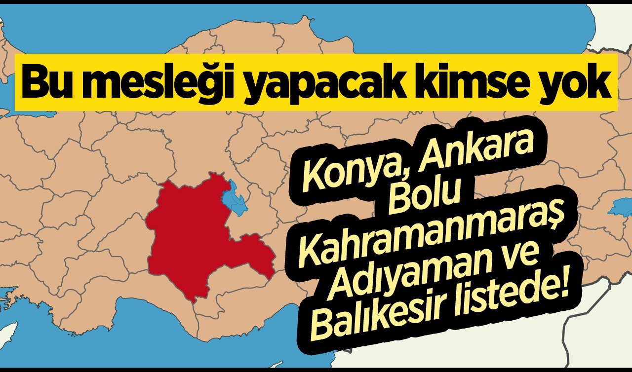 Konya, Ankara, Bolu, Kahramanmaraş, Adıyaman ve Balıkesir listede! Bu mesleği yapacak kimse yok