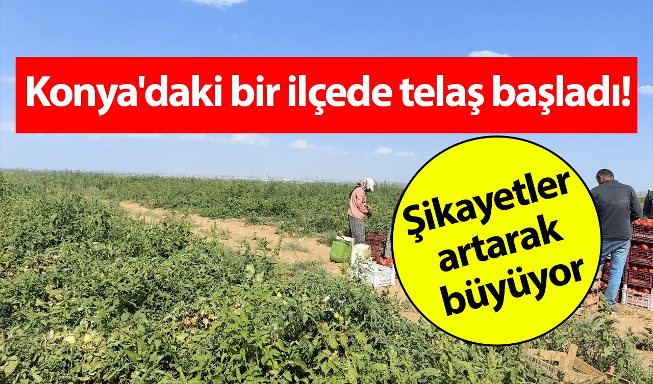  Konya’daki bir ilçede telaş başladı! Şikayetler artarak büyüyor