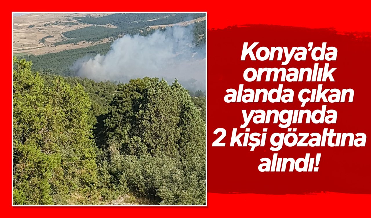  Konya’da ormanlık alanda çıkan yangında 2 kişi gözaltına alındı