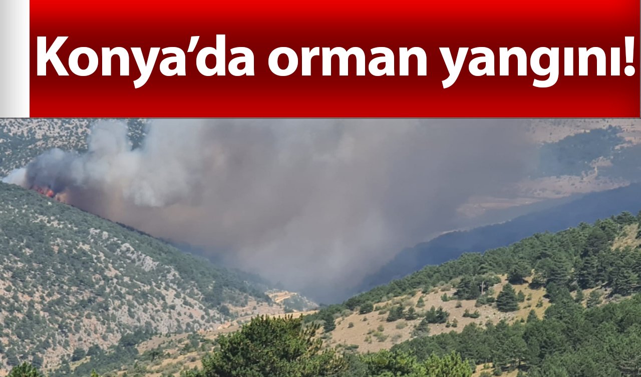 Konya’da orman yangını! Ekipler dört bir koldan müdahale ediyor