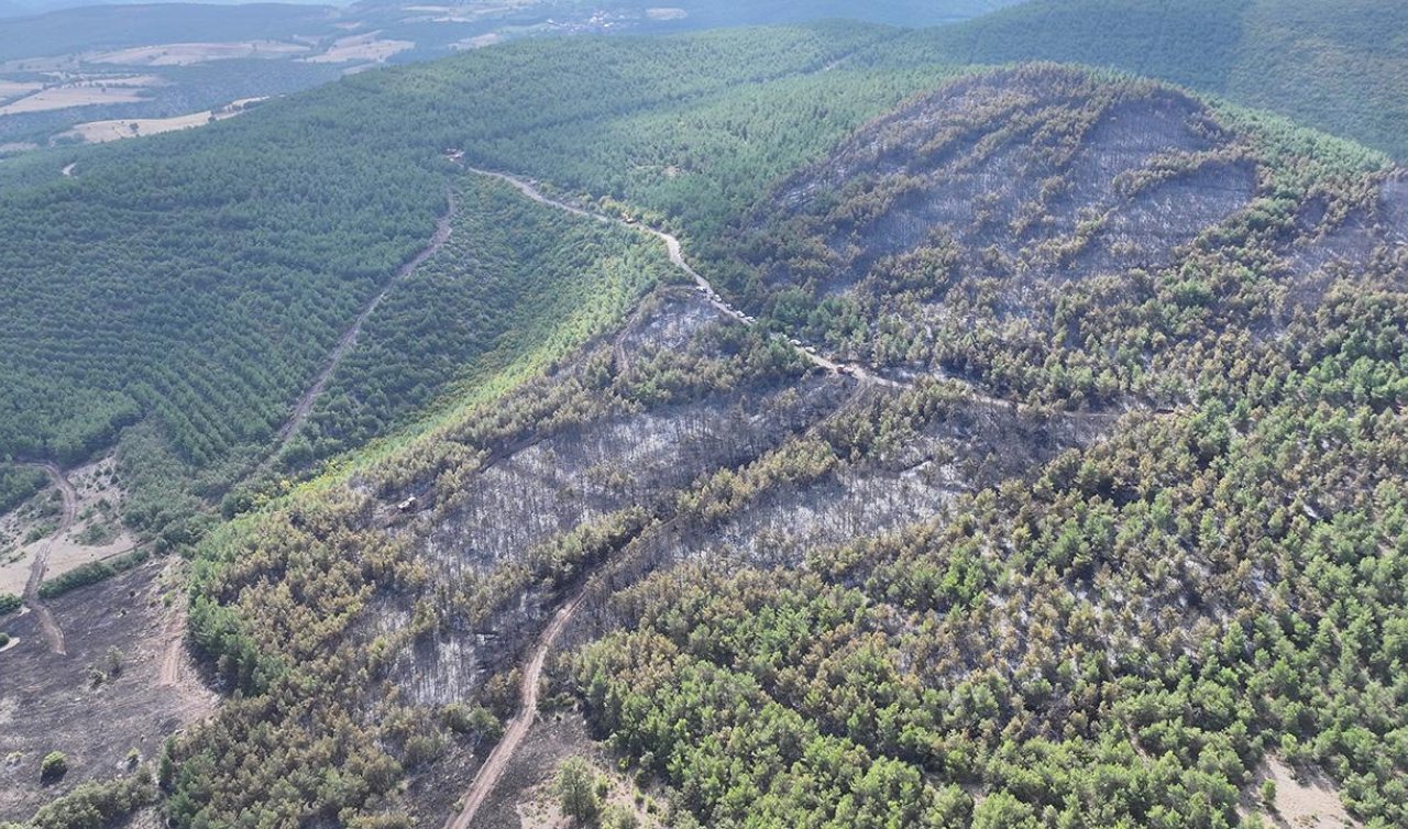  Tokat’ta ormanlık alanda çıkan yangın söndürüldü