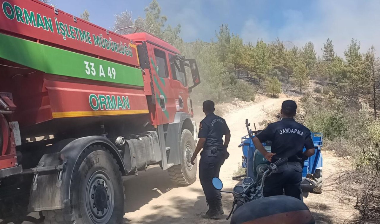 Mersin’de orman yangını