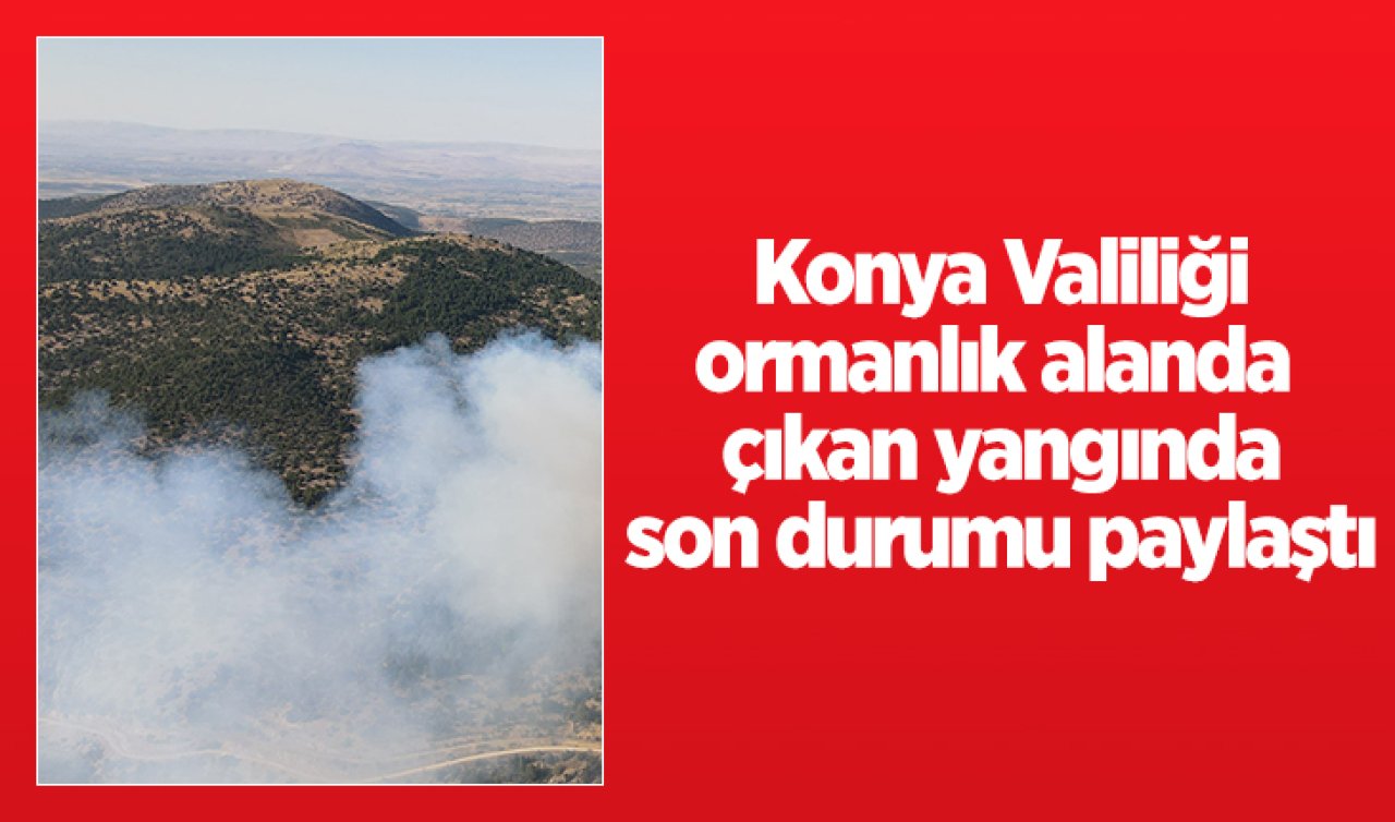  Konya Valiliği ormanlık alanda  çıkan yangında son durumu paylaştı