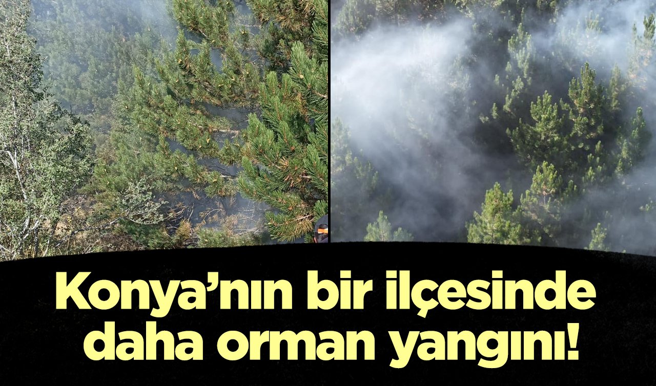 Konya’nın bir ilçesinde daha orman yangını!