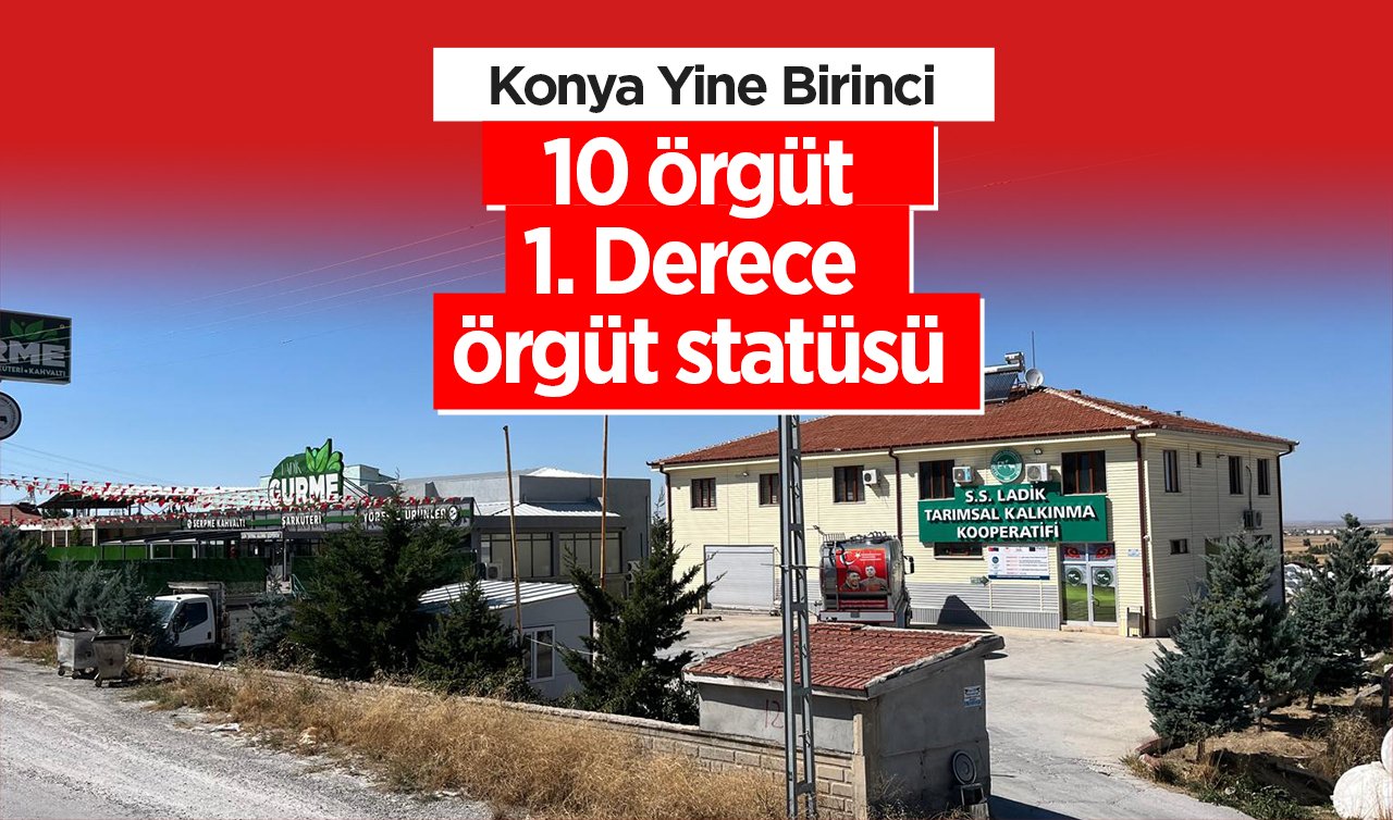 Konya Yine Birinci! 10 örgüt 1. Derece örgüt statüsü