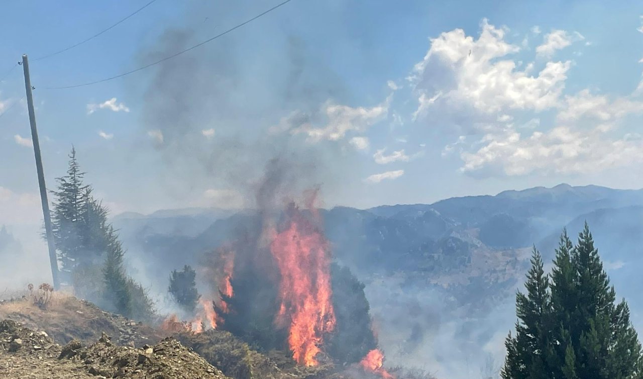 Alanya’da makilik alanda çıkan yangın kontrol altına alındı