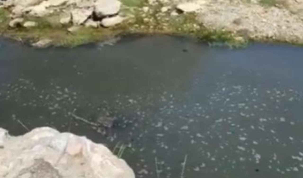  Atıklarını dereye boşaltan firmaya ceza
