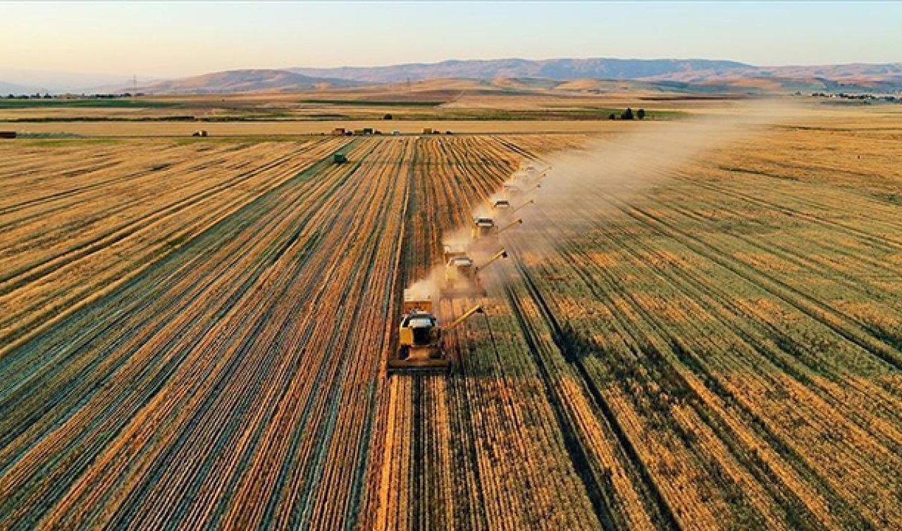  Tarım ÜFE temmuzda aylık bazda yüzde 1,74 azaldı