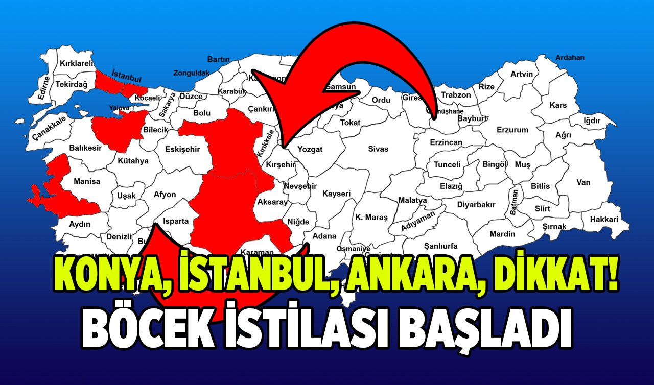  İstila başladı! Büyükşehirlerde yaşayanlar gece uyumadan önce pencerelerinizi kapatın. Konya, Ankara, Antalya, İstanbul, Bursa…  