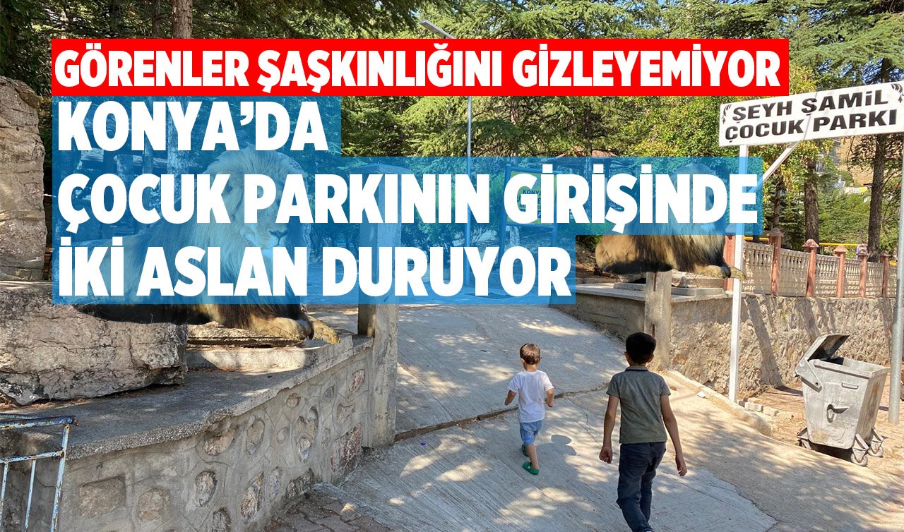 Konya’da çocuk parkının girişinde iki aslan duruyor! Görenler şaşkınlığını gizleyemiyor