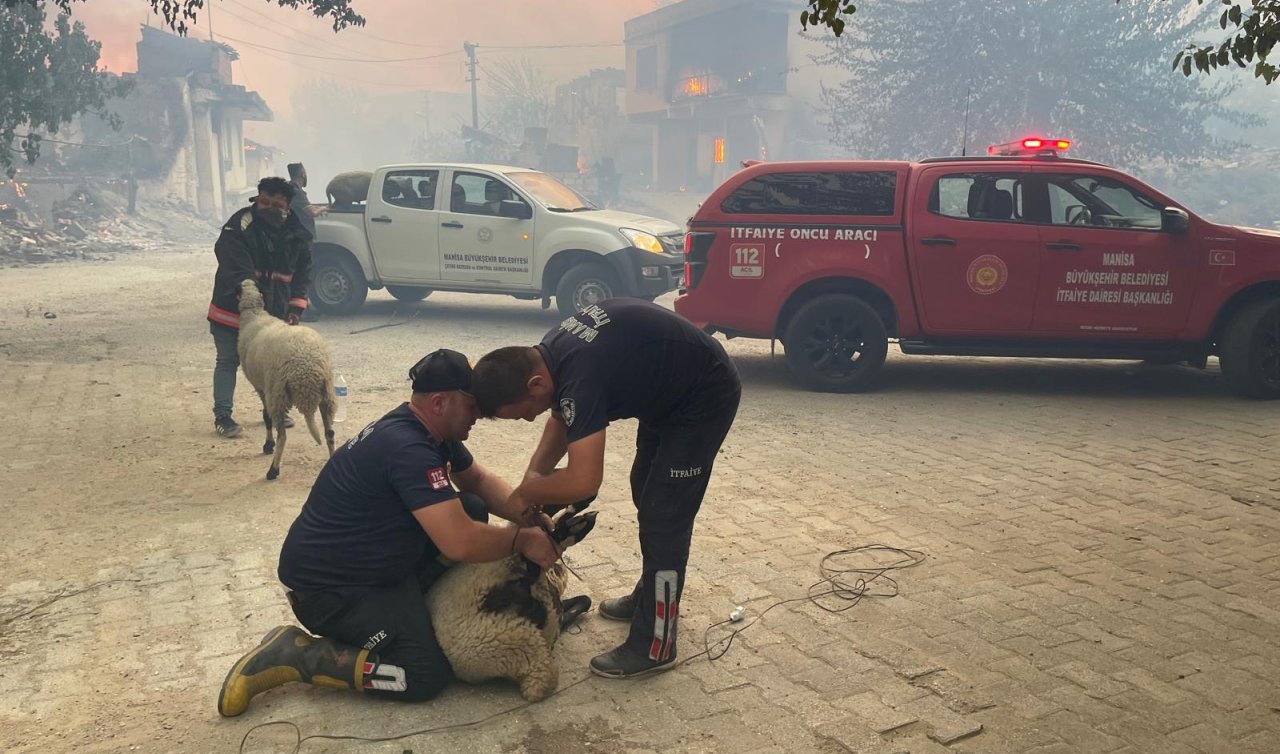 Manisa Gördes’te 2 ayrı noktadaki yangına müdahale ediliyor