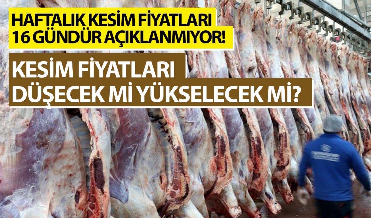 Haftalık kesim fiyatları 16 gündür açıklanmıyor! Kesim fiyatları düşecek mi yükselecek mi?