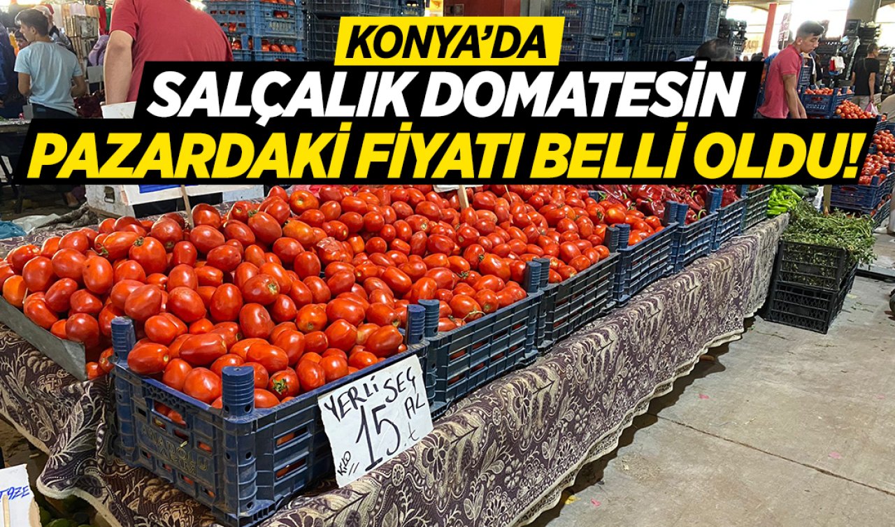 Konya’da salçalık domatesin pazardaki fiyatı belli oldu!
