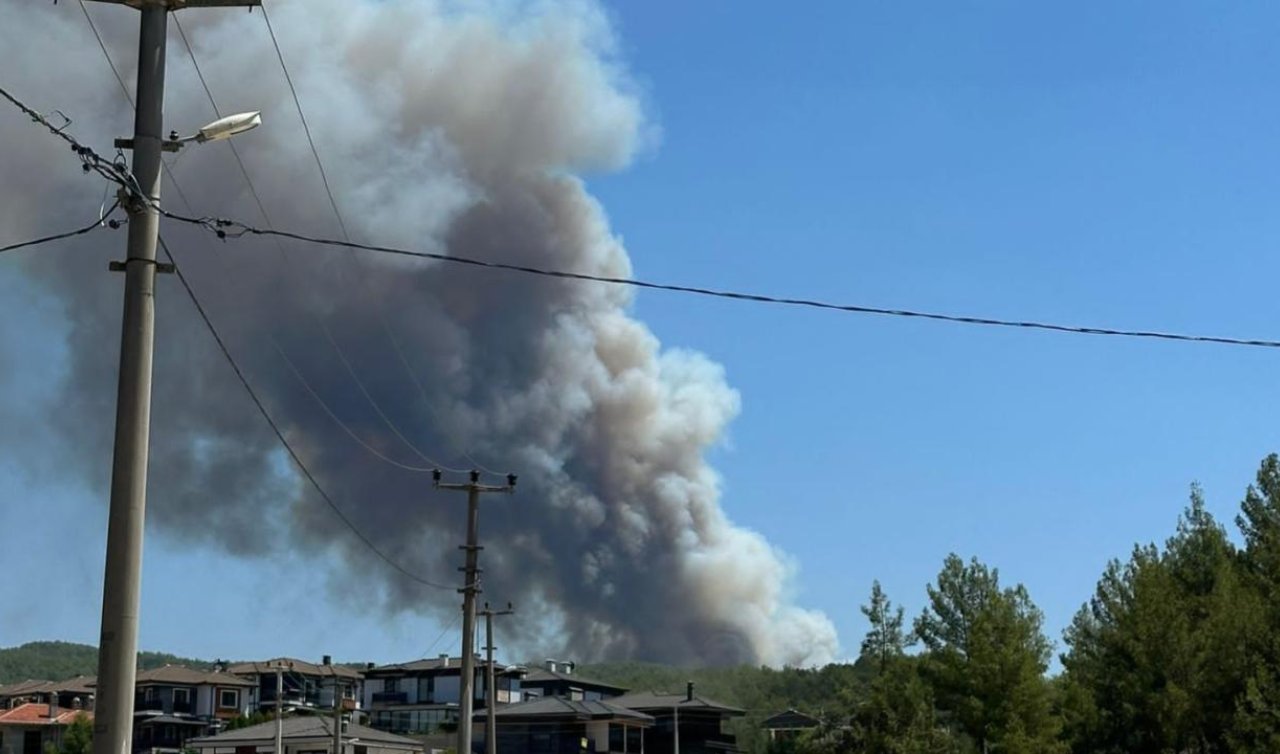 Muğla’da iki ayrı ilçede orman yangını