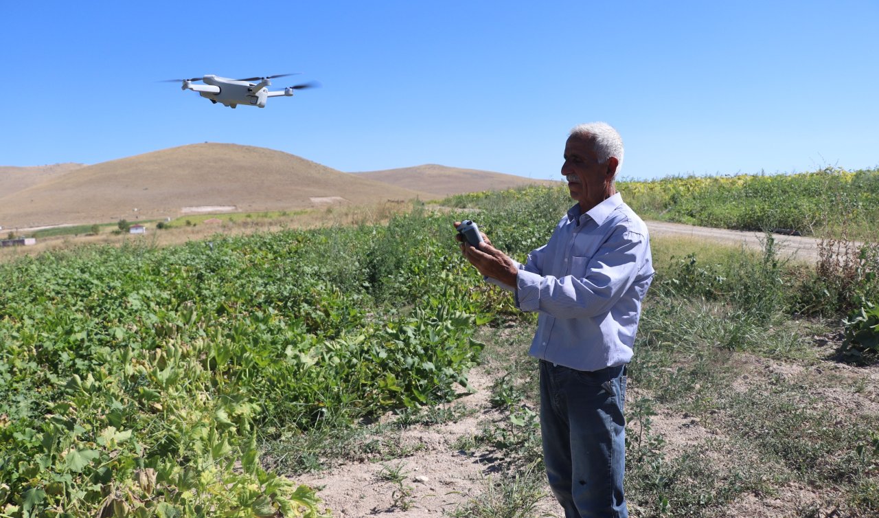  Tarım arazilerine zarar veren domuzlarla dronlu mücadele 