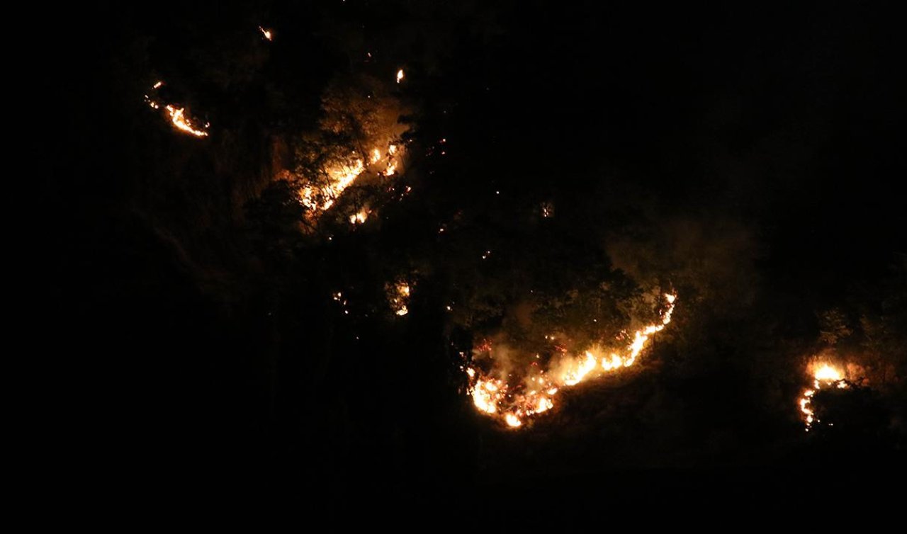 Uşak’ta alevlerle mücadele gece boyu sürdü