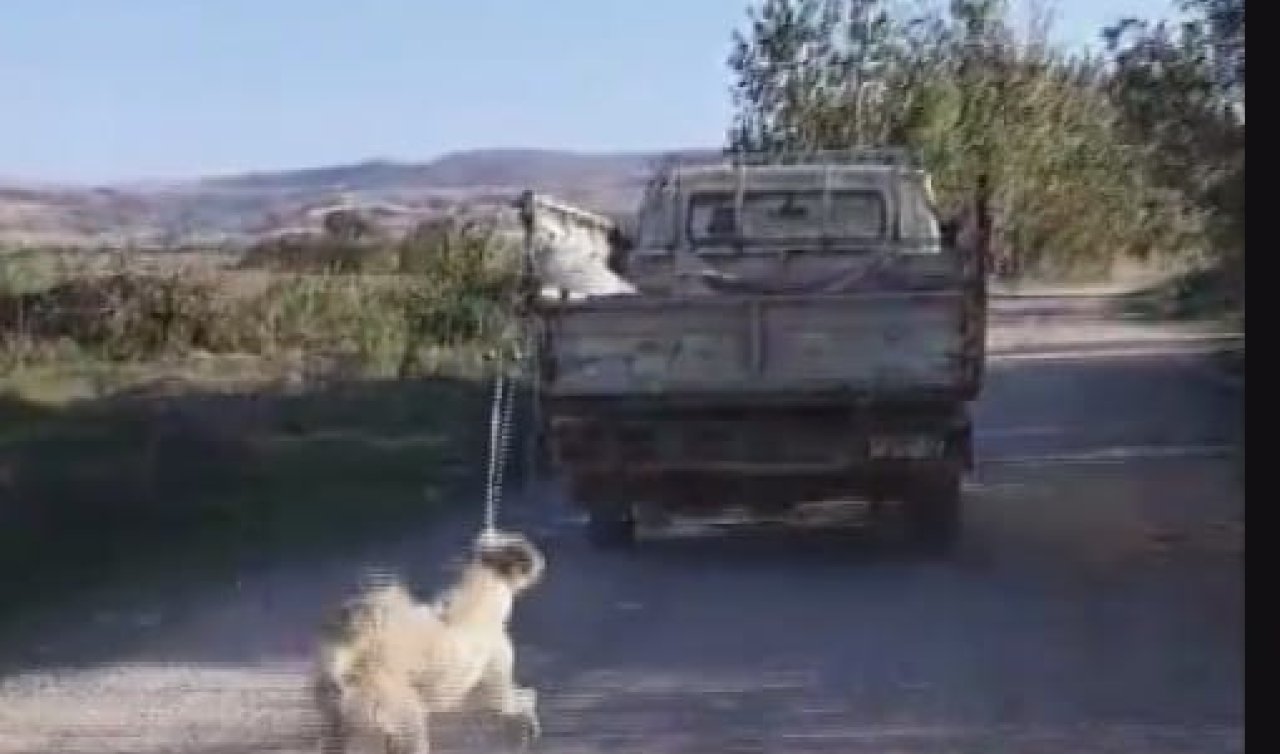 Köpeğini kamyonete bağlayıp sürükledi: İşte o caniye verilen ceza