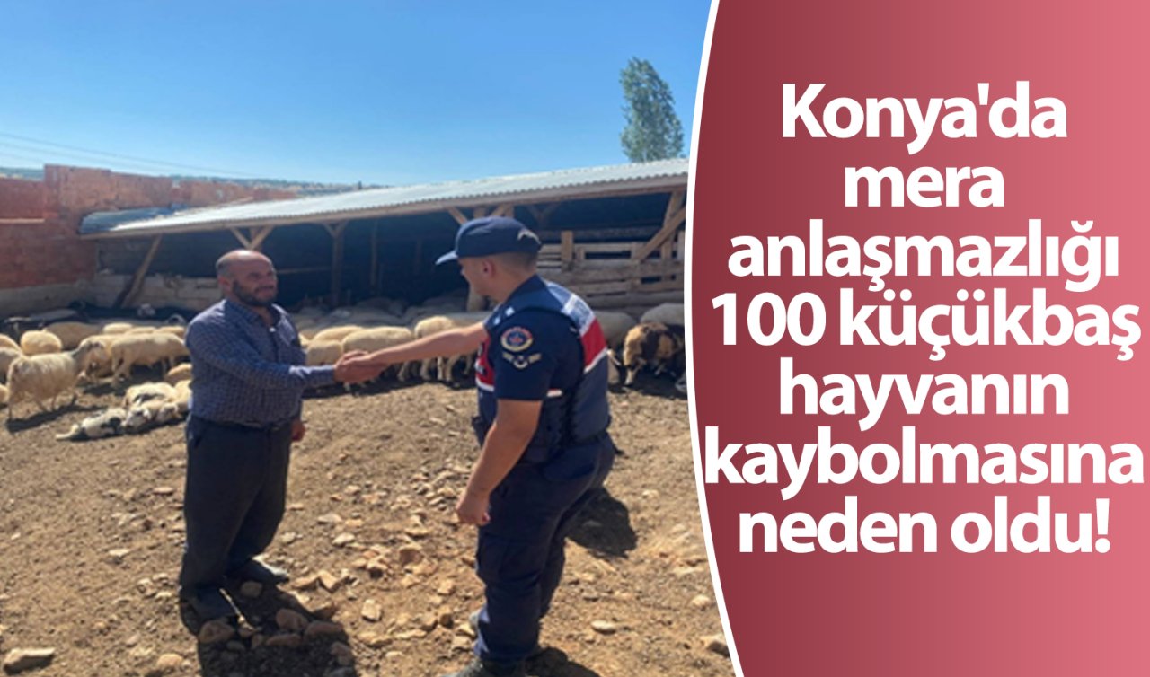 Konya’da mera anlaşmazlığı 100 küçükbaş hayvanın kaybolmasına neden oldu! 