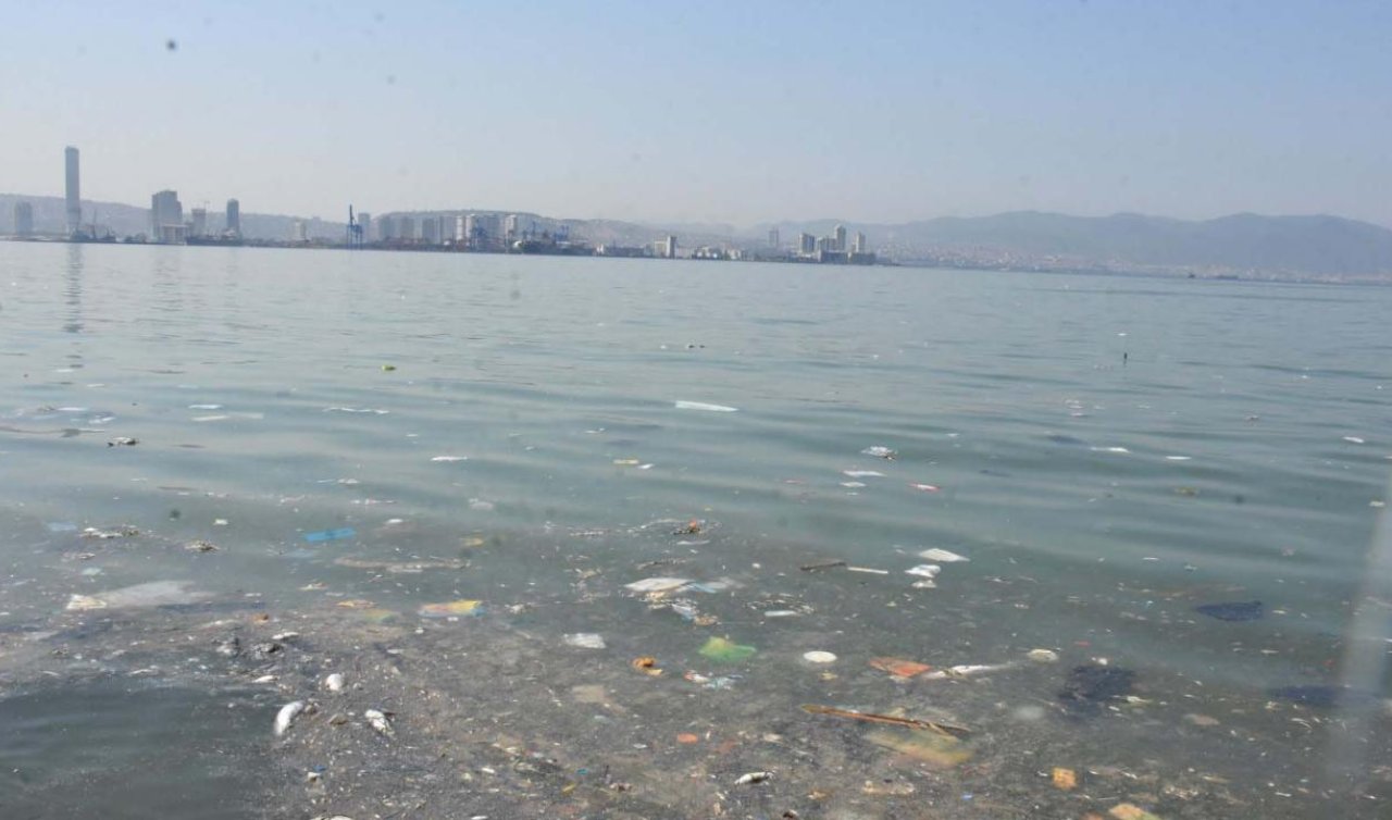 Ölü balıklar kıyıya vurdu: Çevredekiler kötü kokudan rahatsız