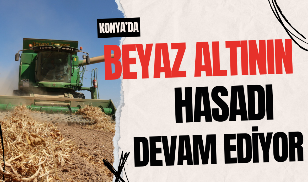 Konya’da beyaz altının hasadı devam ediyor! Konya Ticaret Borsası’nda 40 TL’den satılıyor