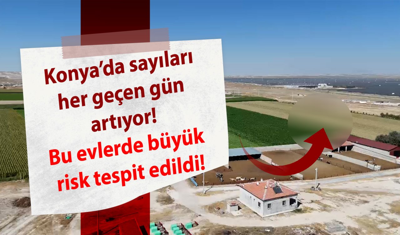 Konya’da sayıları her geçen gün artıyor! Bu evlerde büyük risk tespit edildi!