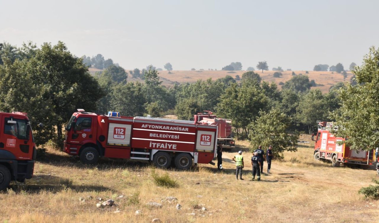 Afyonkarahisar’daki orman yangınıyla ilgili 1 gözaltı