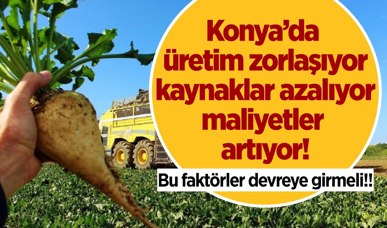 Konya’da üretim zorlaşıyor, kaynaklar azalıyor, maliyetler artıyor! Bu faktörler devreye girmeli