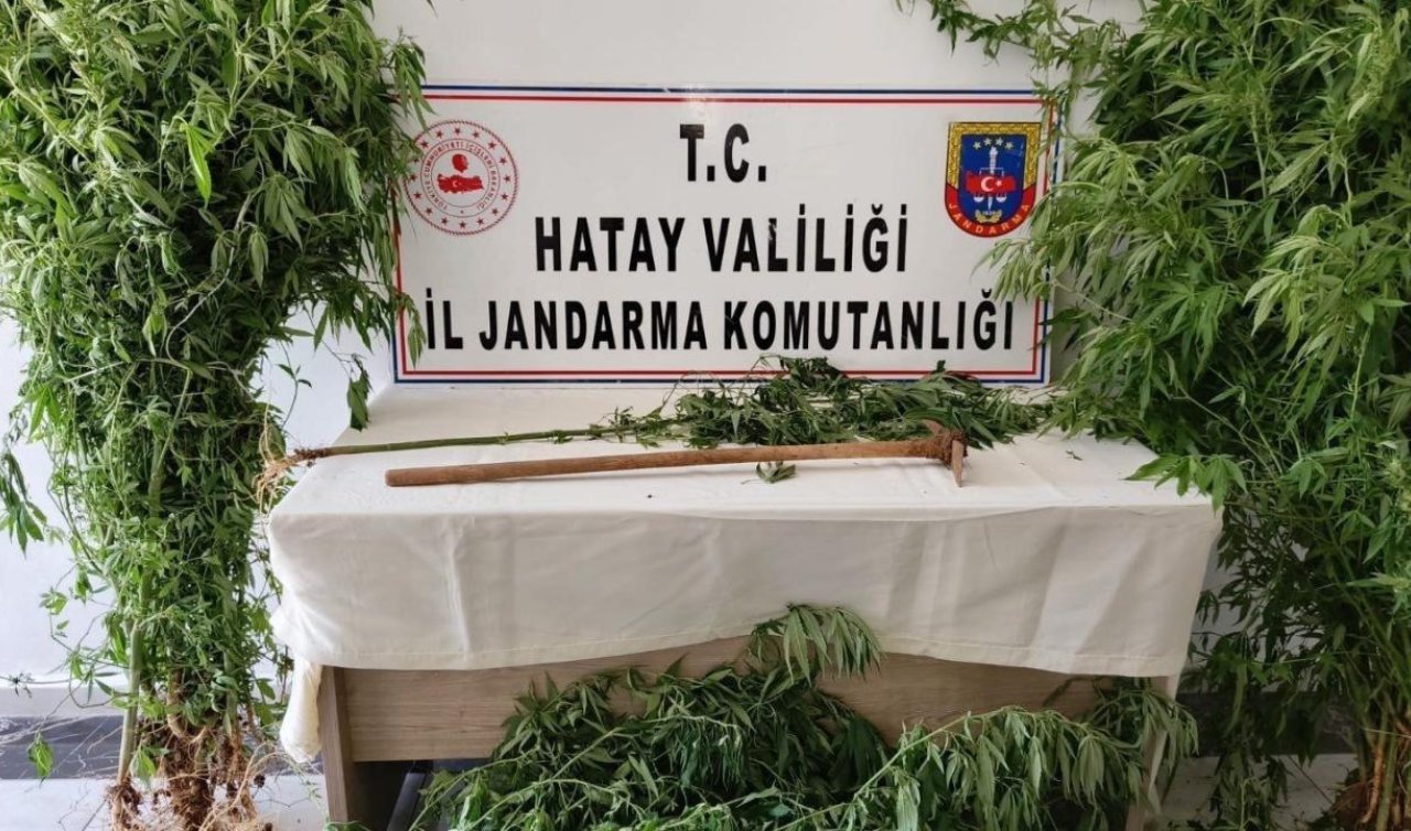 Uyuşturucu ve kaçakçılık operasyonu