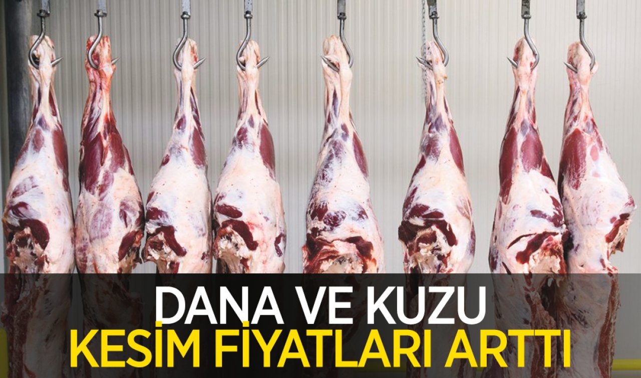 Kesim fiyatları yükseldi! Güncel dana ve kuzu karkas et kesim fiyatları