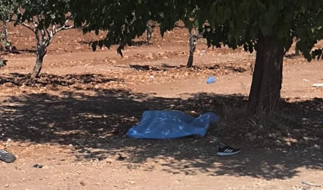  Öğretmenin fıstık bahçesinde cesedi bulundu