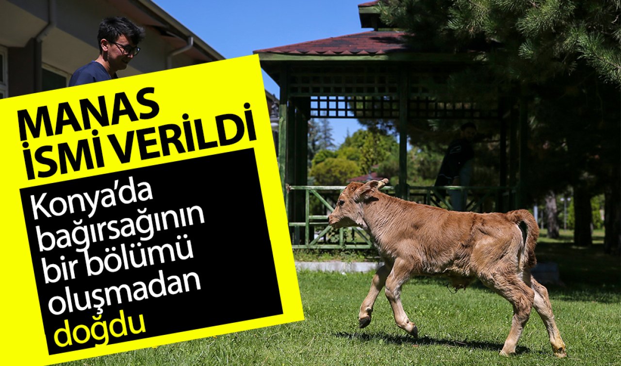 Konya’da bağırsağının bir bölümü oluşmadan doğdu! Yaşatabilmek için seferber oldular