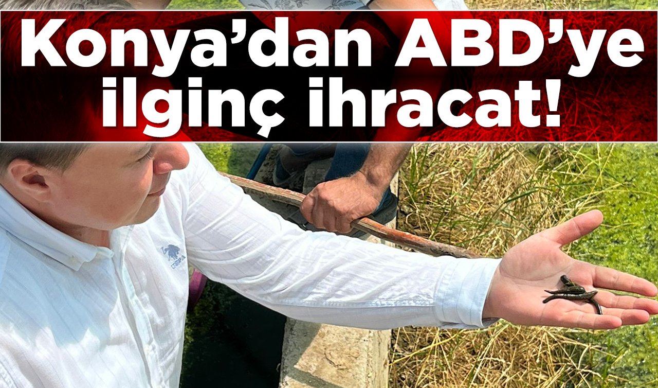 Konya’dan ABD’ye ilginç ihracat! Fethiye’deki tesisler dünyaya açılıyor