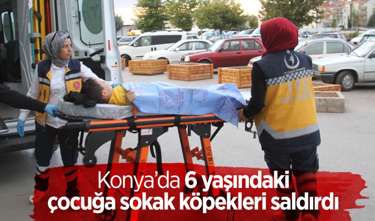 Konya’da 6 yaşındaki çocuğa sokak köpekleri saldırdı
