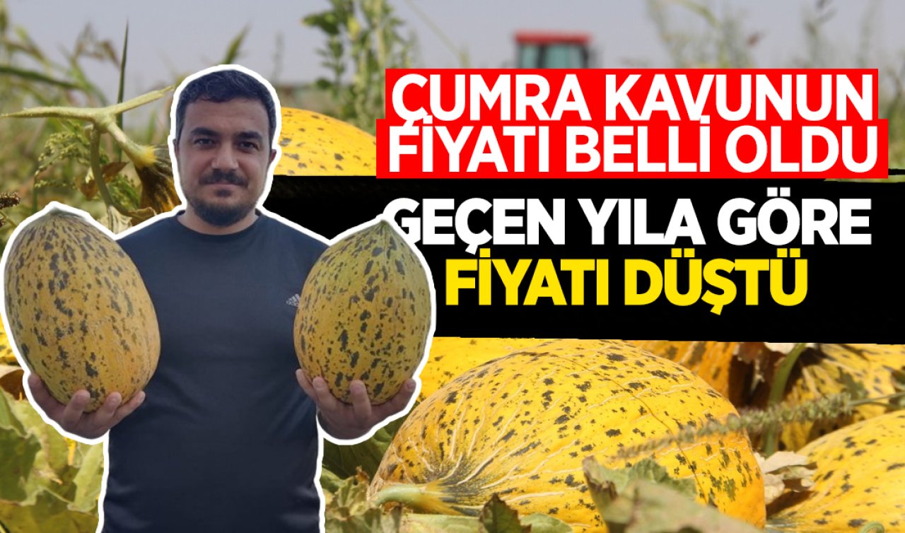  Çumra kavunun fiyatı belli oldu! Geçen yıla göre fiyatı düştü