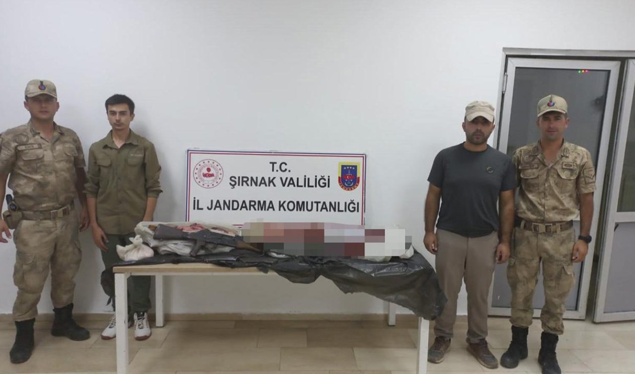 Nesli tehlike altındaki yaban keçisini avlayana 660 bin lira ceza