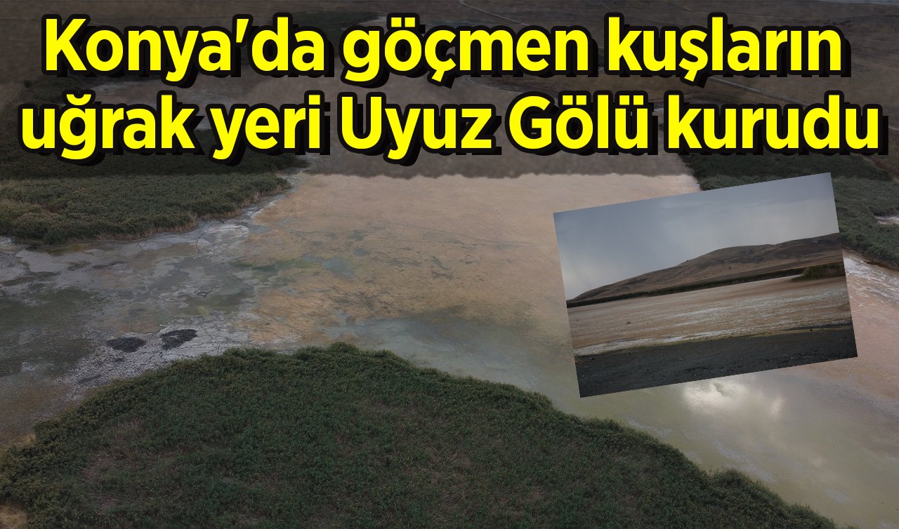 Konya’da göçmen kuşların uğrak yeri Uyuz Gölü kurudu