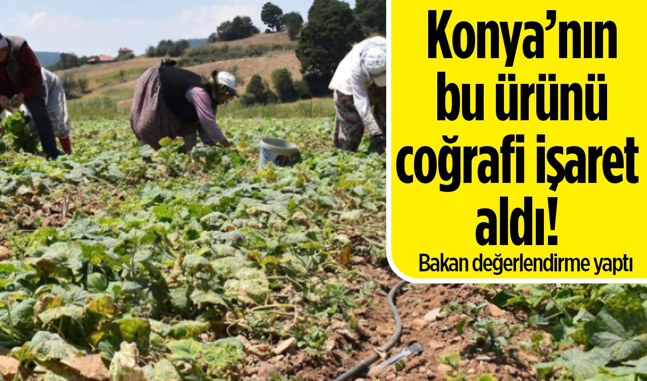 Konya’nın bu ürünü coğrafi işaret aldı! Bakan değerlendirme yaptı