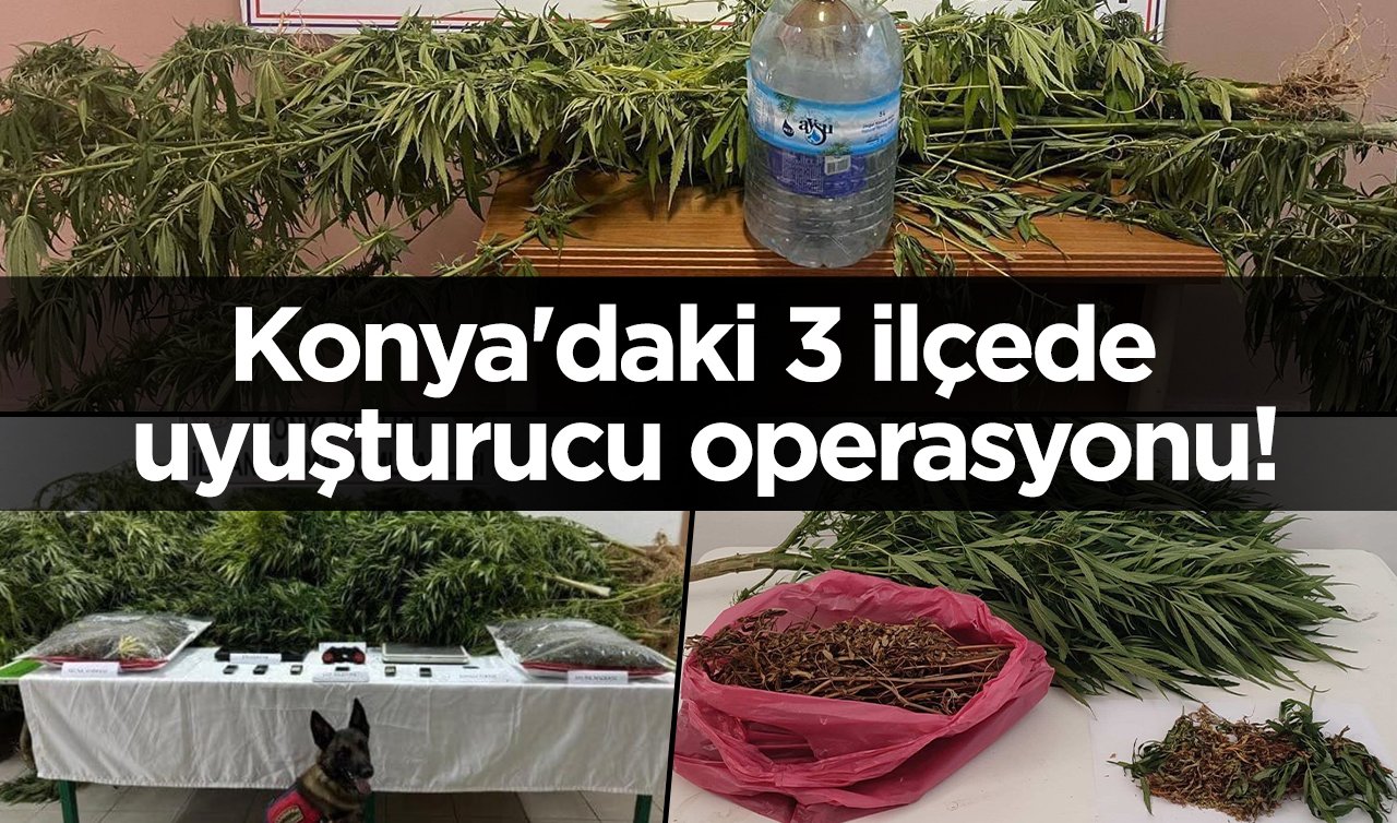 Konya’daki 3 ilçede uyuşturucu operasyonu! Tam 5245 ele geçirildi