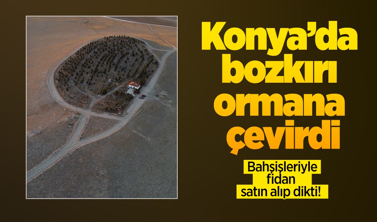 Bahşişleriyle fidan satın alıp dikti! Konya’da bozkırı ormana çevirdi