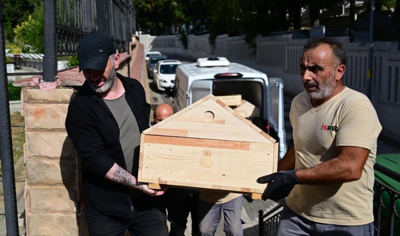  Cem Garipoğlu’nun mezarından çıkarılan örnekler yeniden kabrine konuldu