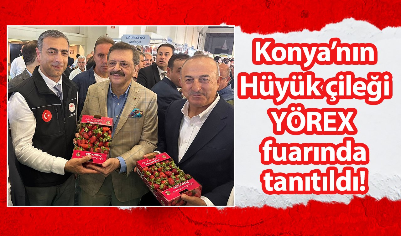 Konya’nın Hüyük çileği YÖREX fuarında tanıtıldı!