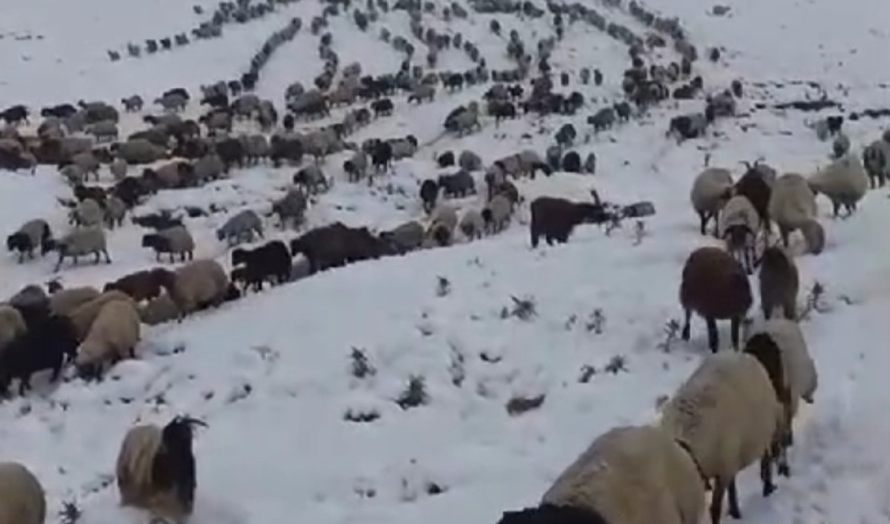 Van’ın İran sınırında kar kalınlığı 20 santimetreye ulaştı